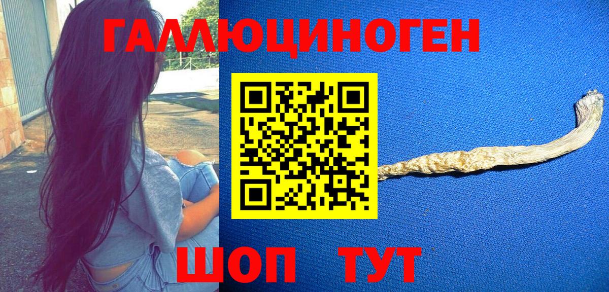 Галлюциногенные грибы MAGIC MUSHROOMS Дербент