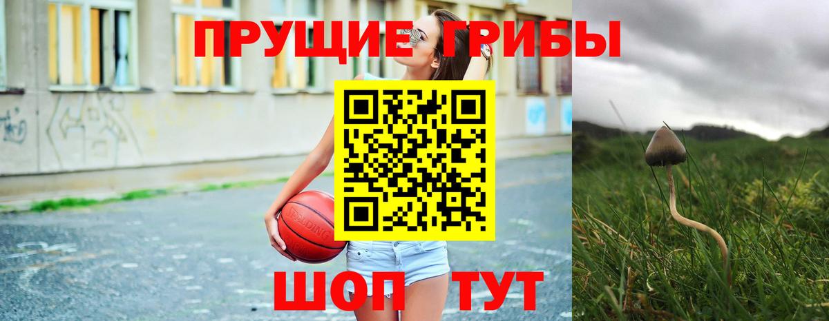 Дербент  Галлюциногенные грибы прущие грибы  Вход с VPN  Псилоцибиновые грибы мухоморы 